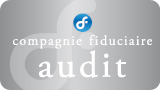 audit